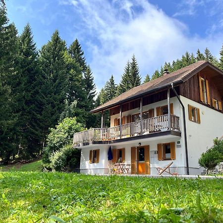 Chalet Harmony Rogla - Apartment Зрече Экстерьер фото