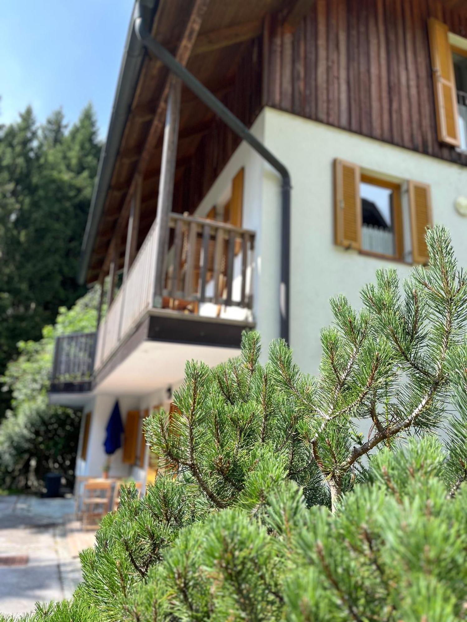 Chalet Harmony Rogla - Apartment Зрече Экстерьер фото